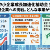 成長加速化補助金